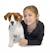 Peluche jack russell Marron 3 - vertbaudet enfant 