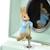 Coffret musical peter rabbit libellule Beige 3 - vertbaudet enfant 