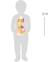 Stand de glaces luigi gelato Beige 5 - vertbaudet enfant 