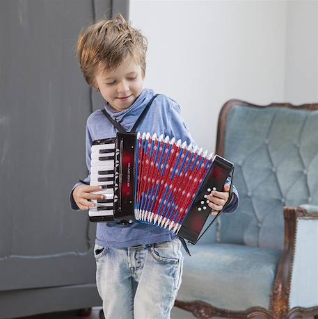 Accordéon noir Noir 4 - vertbaudet enfant 