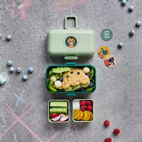 Lunch box à compartiments 800ml tresor Bleu dino+Bleu infinity+Bleu wolf+Cannelle fox+Rose birds+Rose blush+Rose papercut+Vert forest+Vert raccoon 45 - vertbaudet enfant 