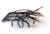 Figurine homard Noir 1 - vertbaudet enfant 