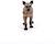 Figurine hyène Marron 3 - vertbaudet enfant 