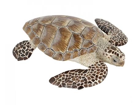 Figurine tortue caouanne Marron 1 - vertbaudet enfant 