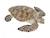 Figurine tortue caouanne Marron 1 - vertbaudet enfant 