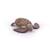 Figurine tortue caouanne Marron 5 - vertbaudet enfant 