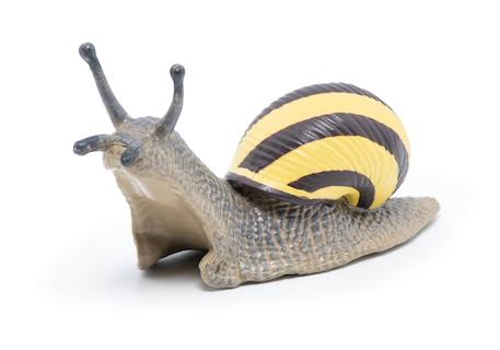 Figurine escargot des bois Marron 3 - vertbaudet enfant 