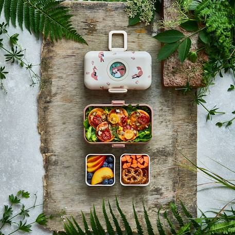 Lunch box à compartiments 800ml tresor Bleu dino+Bleu infinity+Bleu wolf+Cannelle fox+Rose birds+Rose blush+Rose papercut+Vert forest+Vert raccoon 22 - vertbaudet enfant 
