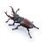 Figurine lucane Marron 2 - vertbaudet enfant 
