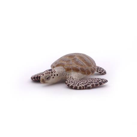 Figurine tortue caouanne Marron 3 - vertbaudet enfant 
