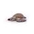 Figurine tortue caouanne Marron 3 - vertbaudet enfant 