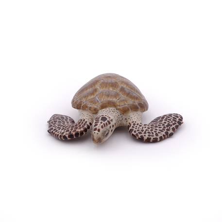 Figurine tortue caouanne Marron 4 - vertbaudet enfant 