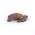 Figurine tortue caouanne Marron 6 - vertbaudet enfant 