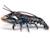 Figurine homard Noir 4 - vertbaudet enfant 