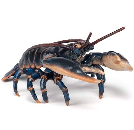 Figurine homard Noir 3 - vertbaudet enfant 