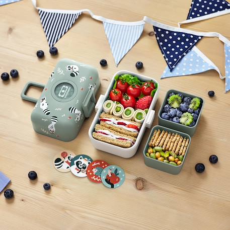 Lunch box à compartiments 800ml tresor Bleu dino+Bleu infinity+Bleu wolf+Cannelle fox+Rose birds+Rose blush+Rose papercut+Vert forest+Vert raccoon 51 - vertbaudet enfant 