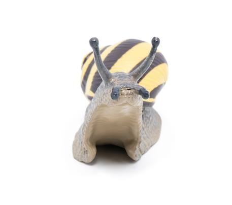 Figurine escargot des bois Marron 4 - vertbaudet enfant 