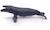 Figurine baleine à bosse Gris 5 - vertbaudet enfant 