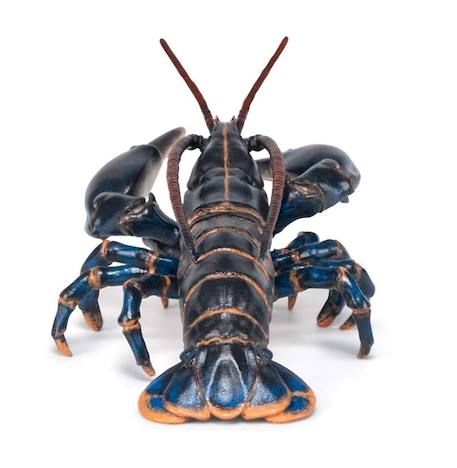 Figurine homard Noir 5 - vertbaudet enfant 