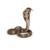 Figurine du serpent cobra royal Marron 2 - vertbaudet enfant 