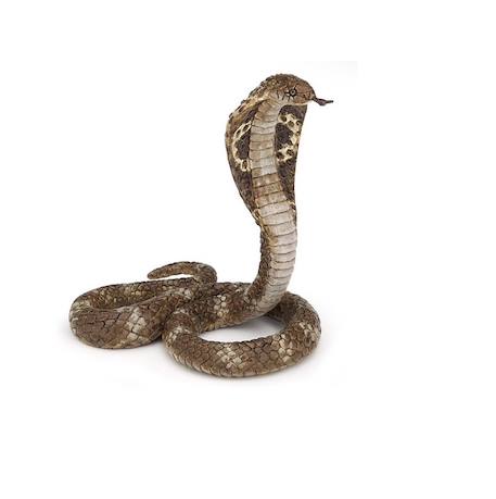 Figurine du serpent cobra royal Marron 1 - vertbaudet enfant 