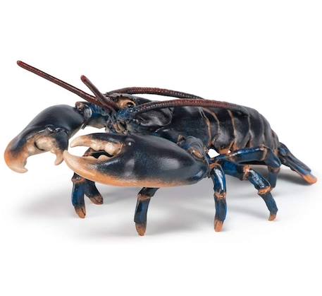 Figurine homard Noir 6 - vertbaudet enfant 