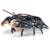 Figurine homard Noir 6 - vertbaudet enfant 