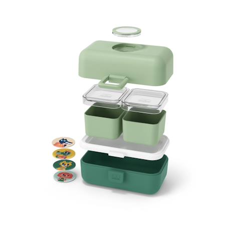 Lunch box à compartiments 800ml tresor Bleu dino+Bleu infinity+Bleu wolf+Cannelle fox+Rose birds+Rose blush+Rose papercut+Vert forest+Vert raccoon 44 - vertbaudet enfant 