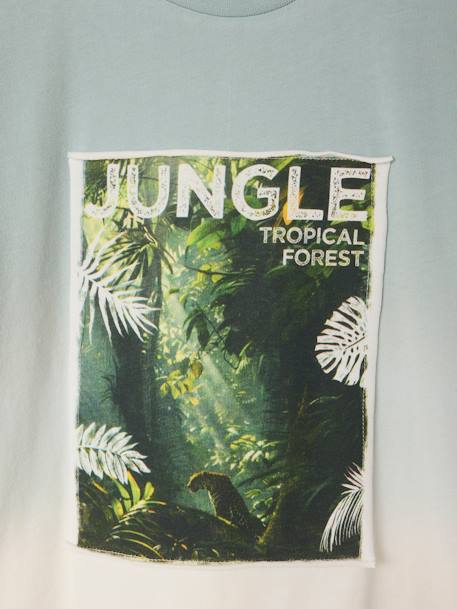 T-shirt tie & dye motif photoprint garçon vert sauge 4 - vertbaudet enfant 