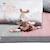 Doudou petite souris danseuse étoile en velours - lilibelle Rose 3 - vertbaudet enfant 