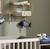 Peluche mini musical poisson en velours - baby sailor Bleu 3 - vertbaudet enfant 