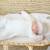 Pantalon tricot Blanc 4 - vertbaudet enfant 