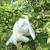 Peluche petit lapin Blanc 3 - vertbaudet enfant 