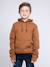 Sweat capuche widem garçon Antra+Kaki+Marron 9 - vertbaudet enfant 