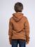 Sweat capuche widem garçon Antra+Kaki+Marron 10 - vertbaudet enfant 