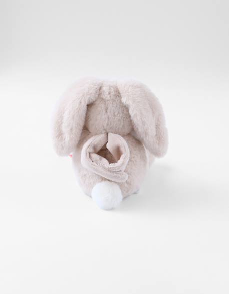 Peluche mini-musicale 20cm - moka Beige 4 - vertbaudet enfant 