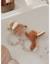 Hochet - bali Beige 2 - vertbaudet enfant 