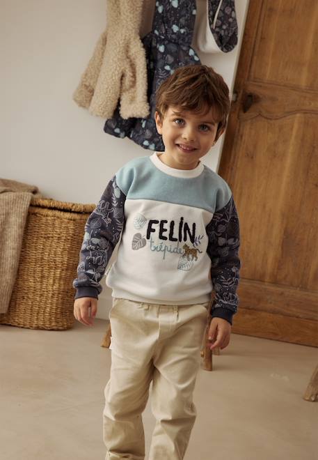 Sweat-shirt bébé en molleton félintrépide Bleu 1 - vertbaudet enfant 