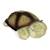 Veilleuse twilight turtle - moka Marron 1 - vertbaudet enfant 