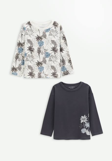 Lot de 2 t-shirts enfant manches longues tonga Bleu 1 - vertbaudet enfant 
