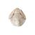 Peluche veilleuse projecteur d'étoiles lapin Beige 2 - vertbaudet enfant 