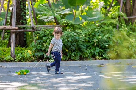 Alligator à tirer Vert 2 - vertbaudet enfant 