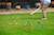 Jeu de croquet Beige 4 - vertbaudet enfant 