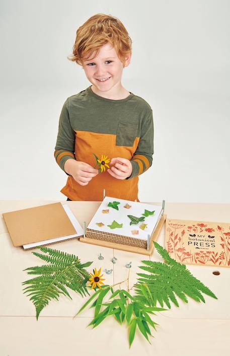Ma presse botanique Beige 5 - vertbaudet enfant 