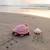 Peluche maman bébé tortue Rose 4 - vertbaudet enfant 