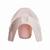 Pot initio Fleur bleue+Gris charme+Rose poudré+Vert céladon 14 - vertbaudet enfant 