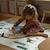 Tapis de jeu enfant indoor & outdoor little forest Multicolore 1 - vertbaudet enfant 