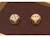 Jeu de dés shut the box Marron 2 - vertbaudet enfant 