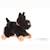 Walter le chien à tirer Noir 1 - vertbaudet enfant 
