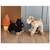 Eliot le chien à tirer Beige 3 - vertbaudet enfant 